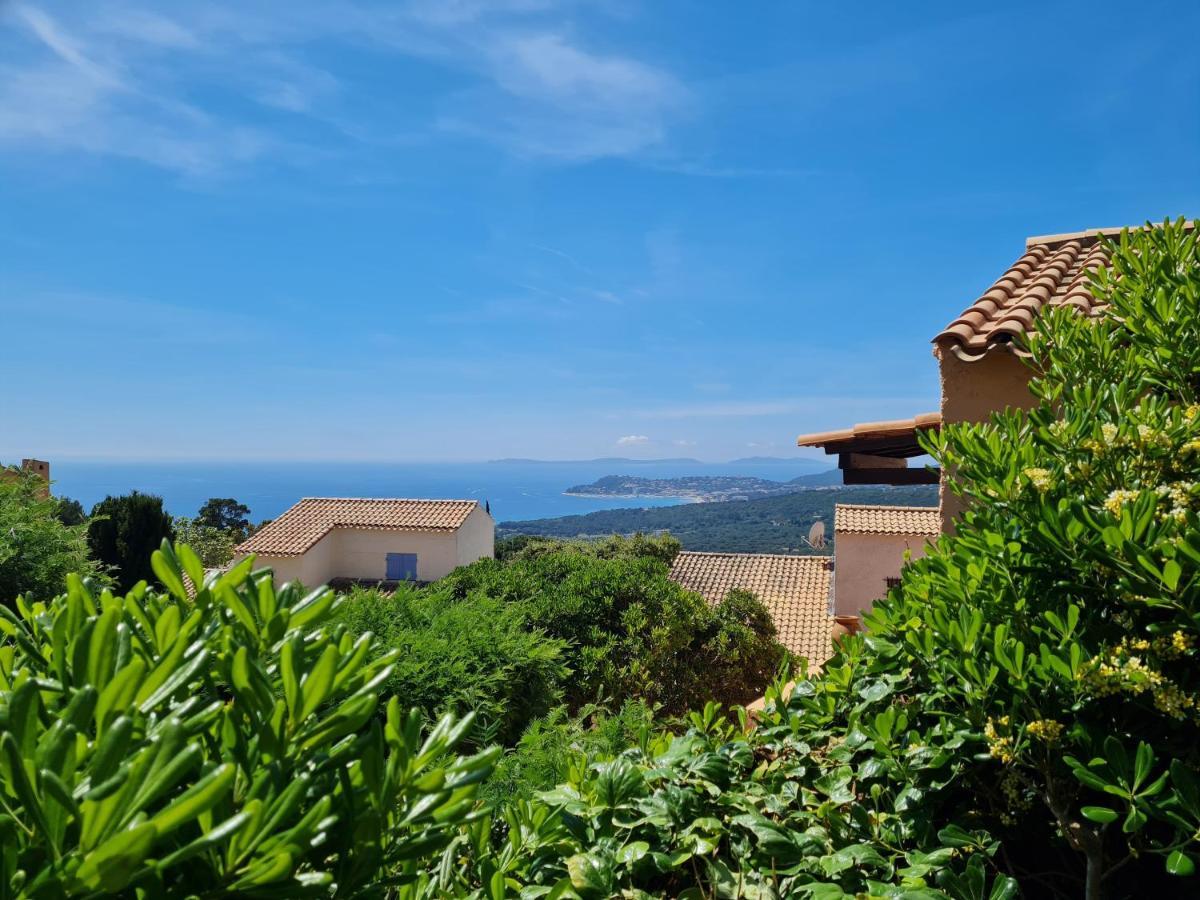 Bel Appartement Renove, Avec Terrasse Et Piscine La Croix-Valmer Buitenkant foto